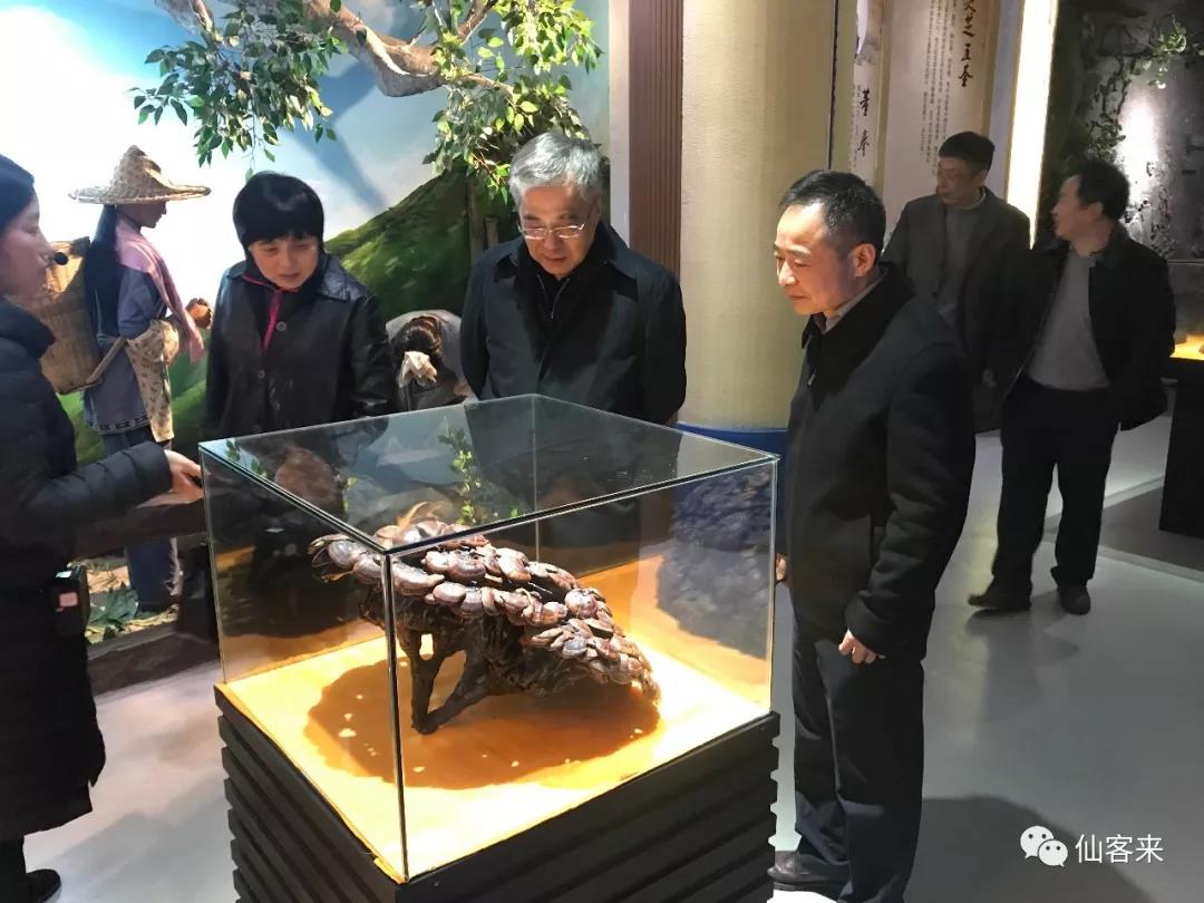 中國(guó)靈芝十大品牌|仙客來靈芝|仙客來靈芝破壁孢子粉|仙客來孢子油|仙客來靈芝飲片|仙客來破壁孢子粉|仙客來靈芝中藥飲片|馳名商標(biāo)|www.channel2.com.cn|