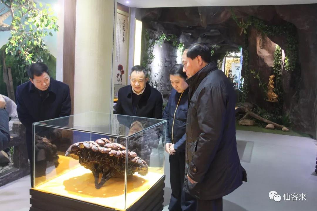 中國(guó)靈芝十大品牌|仙客來靈芝|仙客來靈芝破壁孢子粉|仙客來孢子油|仙客來靈芝飲片|仙客來破壁孢子粉|仙客來靈芝中藥飲片|馳名商標(biāo)|www.channel2.com.cn|