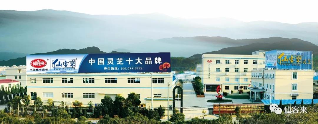 中國靈芝十大品牌|仙客來靈芝|仙客來靈芝破壁孢子粉|仙客來孢子油|仙客來靈芝飲片|仙客來破壁孢子粉|仙客來靈芝中藥飲片|馳名商標(biāo)|www.channel2.com.cn|