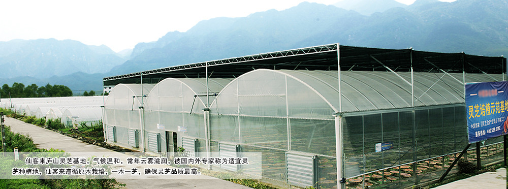 中國靈芝十大品牌|仙客來靈芝|仙客來靈芝破壁孢子粉|仙客來孢子油|仙客來靈芝飲片|仙客來破壁孢子粉|仙客來靈芝中藥飲片|馳名商標(biāo)|www.channel2.com.cn|