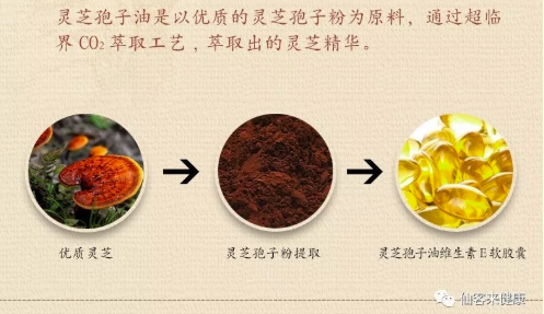 中國(guó)靈芝十大品牌|仙客來靈芝|仙客來靈芝破壁孢子粉|仙客來孢子油|仙客來靈芝飲片|仙客來破壁孢子粉|仙客來靈芝中藥飲片|馳名商標(biāo)|www.channel2.com.cn|