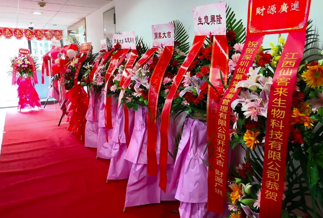 中國(guó)靈芝十大品牌|仙客來(lái)靈芝|仙客來(lái)靈芝破壁孢子粉|仙客來(lái)孢子油|仙客來(lái)靈芝飲片|仙客來(lái)破壁孢子粉|仙客來(lái)靈芝中藥飲片|馳名商標(biāo)|www.channel2.com.cn|