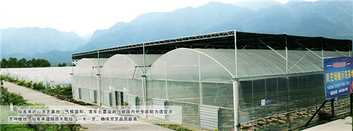 中國靈芝十大品牌|仙客來靈芝|仙客來靈芝破壁孢子粉|仙客來孢子油|仙客來靈芝飲片|仙客來破壁孢子粉|仙客來靈芝中藥飲片|馳名商標(biāo)|www.channel2.com.cn|