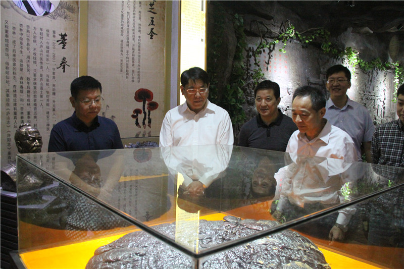 中國靈芝十大品牌|仙客來靈芝|仙客來靈芝破壁孢子粉|仙客來孢子油|仙客來靈芝飲片|仙客來破壁孢子粉|仙客來靈芝中藥飲片|馳名商標(biāo)|www.channel2.com.cn|