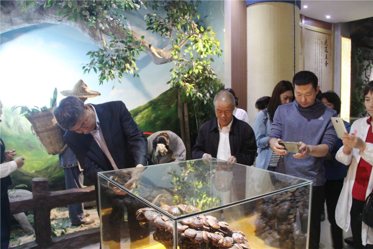 中國(guó)靈芝十大品牌|仙客來(lái)靈芝|仙客來(lái)靈芝破壁孢子粉|仙客來(lái)孢子油|仙客來(lái)靈芝飲片|仙客來(lái)破壁孢子粉|仙客來(lái)靈芝中藥飲片|馳名商標(biāo)|www.channel2.com.cn|