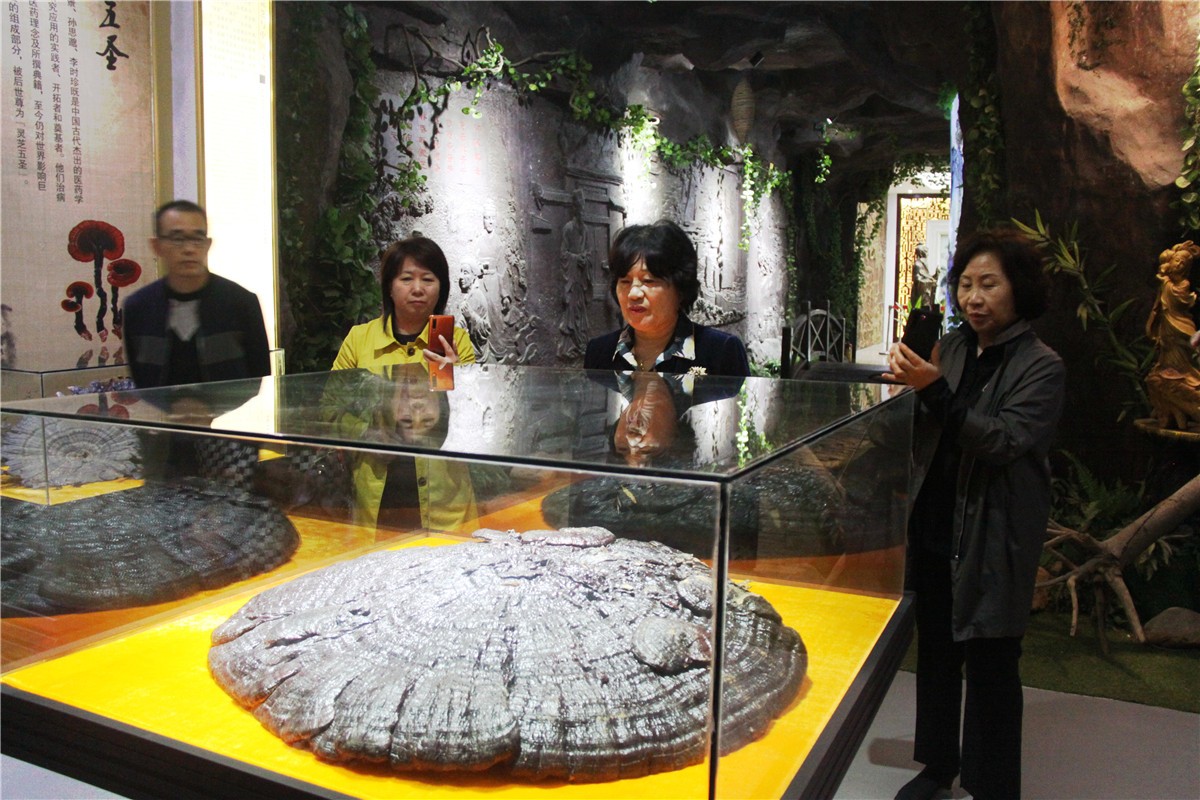 中國靈芝十大品牌|仙客來靈芝|仙客來靈芝破壁孢子粉|仙客來孢子油|仙客來靈芝飲片|仙客來破壁孢子粉|仙客來靈芝中藥飲片|馳名商標(biāo)|www.channel2.com.cn|