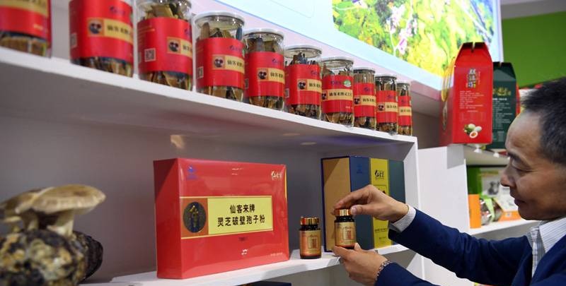中國(guó)靈芝十大品牌|仙客來(lái)靈芝|仙客來(lái)靈芝破壁孢子粉|仙客來(lái)孢子油|仙客來(lái)靈芝飲片|仙客來(lái)破壁孢子粉|仙客來(lái)靈芝中藥飲片|馳名商標(biāo)|www.channel2.com.cn|