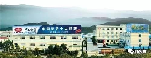 中國靈芝十大品牌|仙客來靈芝|仙客來靈芝破壁孢子粉|仙客來孢子油|仙客來靈芝飲片|仙客來破壁孢子粉|仙客來靈芝中藥飲片|馳名商標|www.channel2.com.cn|
