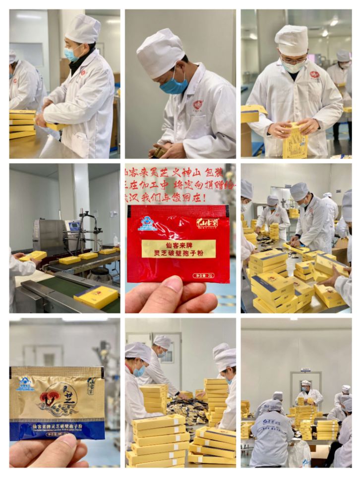 中國(guó)靈芝十大品牌|仙客來(lái)靈芝|仙客來(lái)靈芝破壁孢子粉|仙客來(lái)孢子油|仙客來(lái)靈芝飲片|仙客來(lái)破壁孢子粉|仙客來(lái)靈芝中藥飲片|馳名商標(biāo)|www.channel2.com.cn|