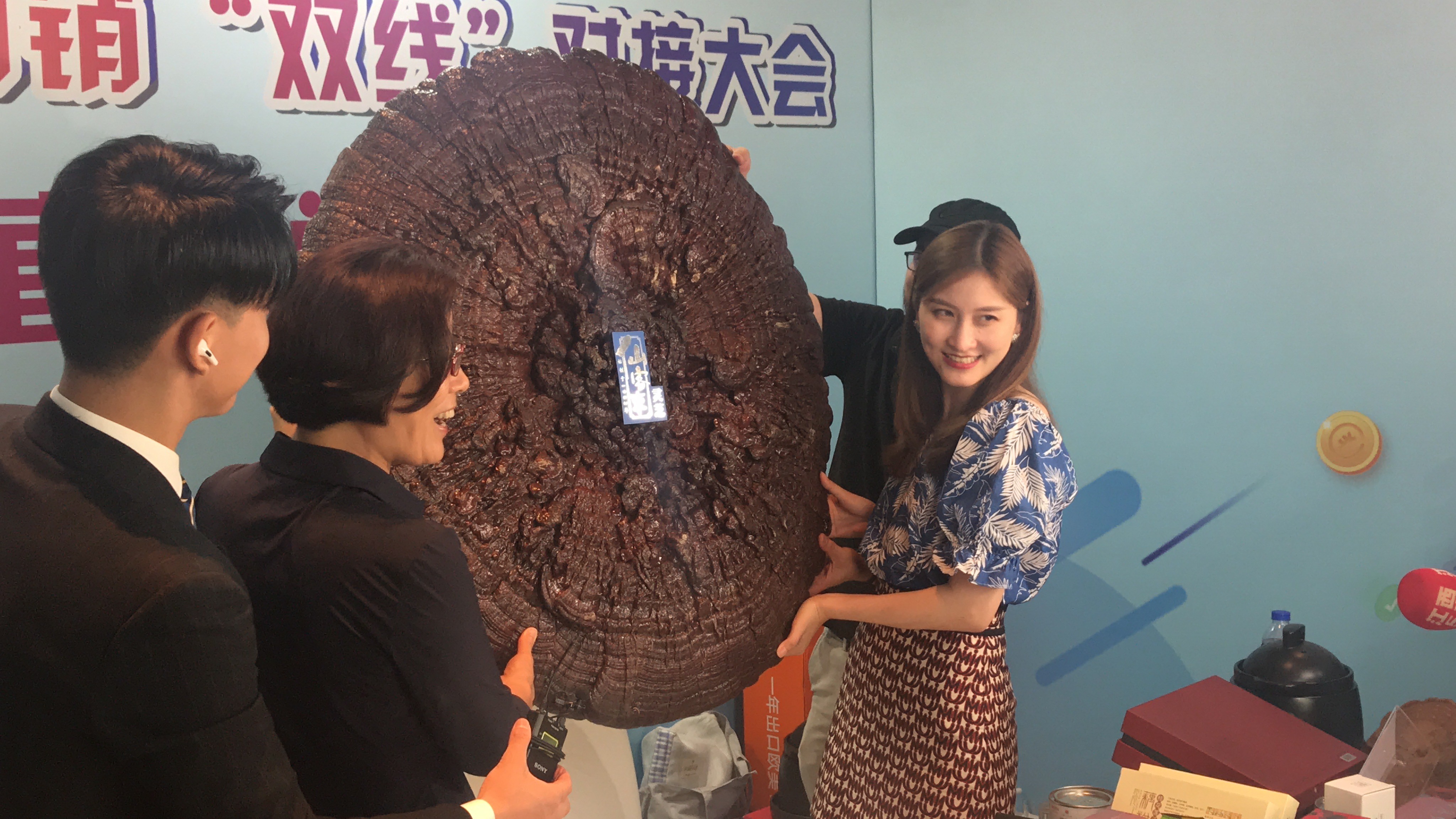 杭州亞運(yùn)會官方靈芝產(chǎn)品供應(yīng)商|杭州亞運(yùn)會官方供應(yīng)商|中國靈芝十大品牌|仙客來靈芝|仙客來靈芝破壁孢子粉|仙客來孢子油|仙客來靈芝飲片|仙客來破壁孢子粉|靈芝孢子油|孢子粉|靈芝破壁孢子粉|靈芝|中華老字號
