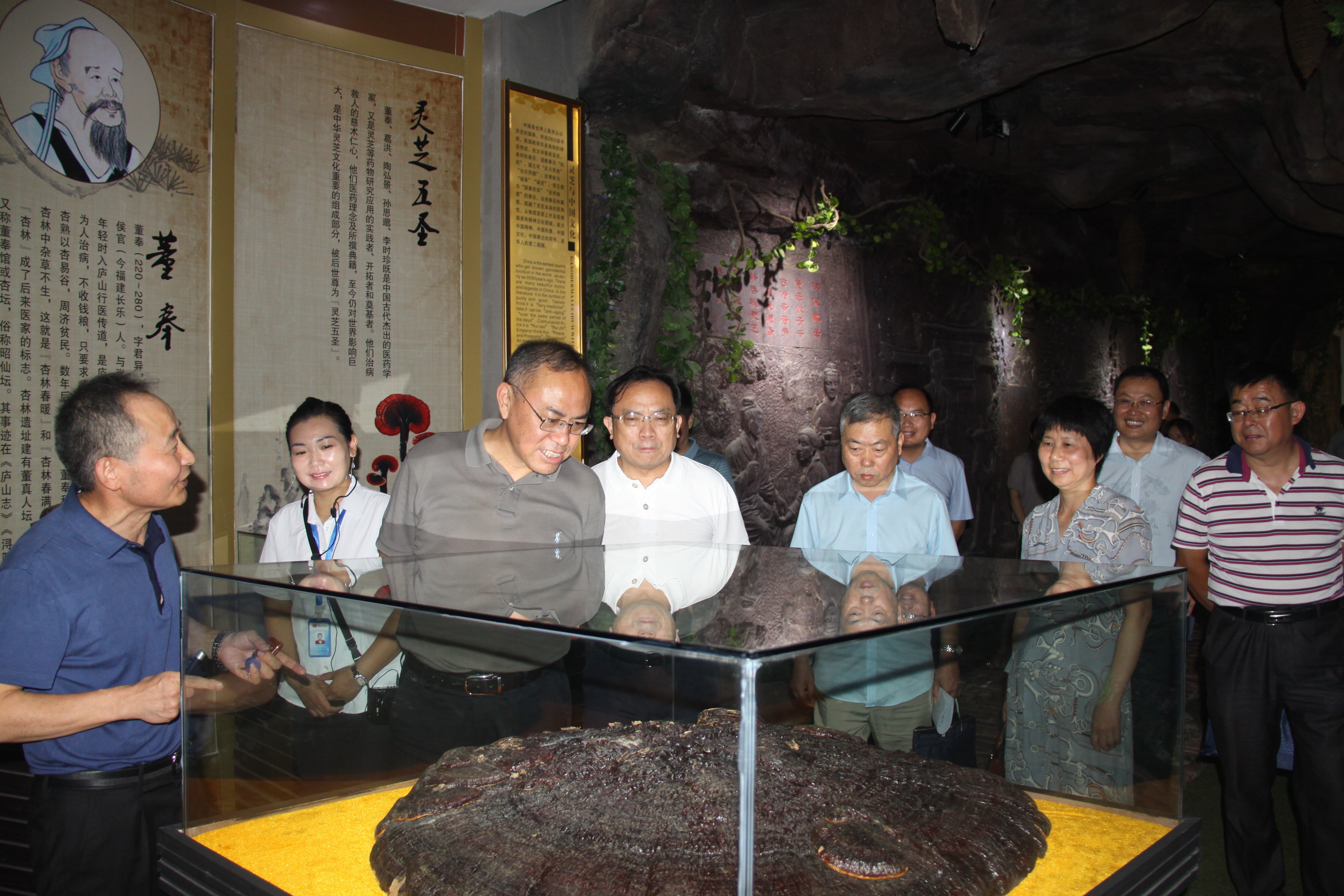 杭州亞運會官方靈芝產品供應商|杭州亞運會官方供應商|中國靈芝十大品牌|仙客來靈芝|仙客來靈芝破壁孢子粉|仙客來孢子油|仙客來靈芝飲片|仙客來破壁孢子粉|靈芝孢子油|孢子粉|靈芝破壁孢子粉|靈芝|中華老字號
